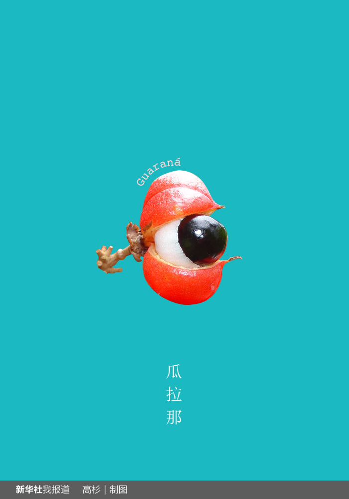 “瘋狂水果城”里約：給你點顏色瞧瞧！
