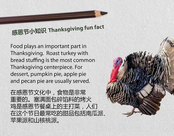 感恩節(jié)學(xué)習(xí)和“豐收”有關(guān)的知識表達