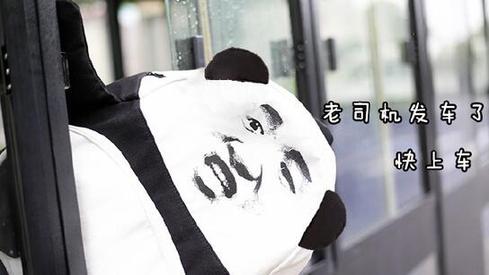 盤點(diǎn)：2016年度網(wǎng)絡(luò)熱詞你全懂嗎？（組圖）