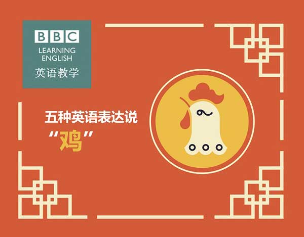 五種英語(yǔ)表達(dá)說(shuō)“雞”