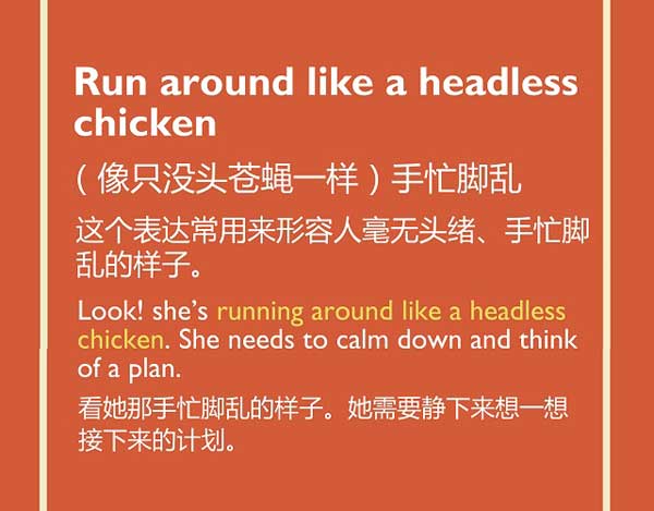 五種英語(yǔ)表達(dá)說(shuō)“雞”