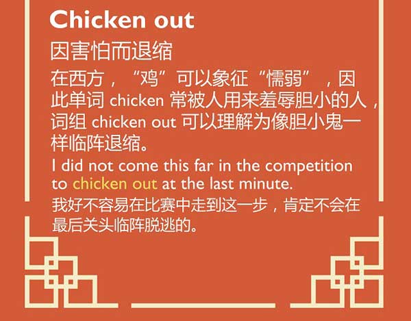 五種英語(yǔ)表達(dá)說(shuō)“雞”