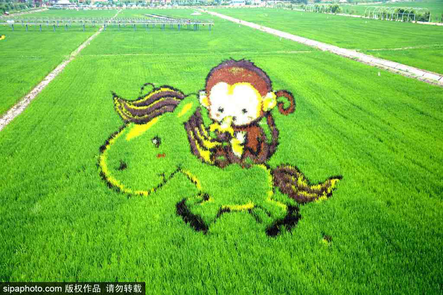 春回大地草木萌動(dòng) 盤點(diǎn)那些農(nóng)田光景返樸歸真（組圖）
