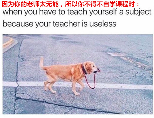 網友神吐槽：大學生活帶給你什么