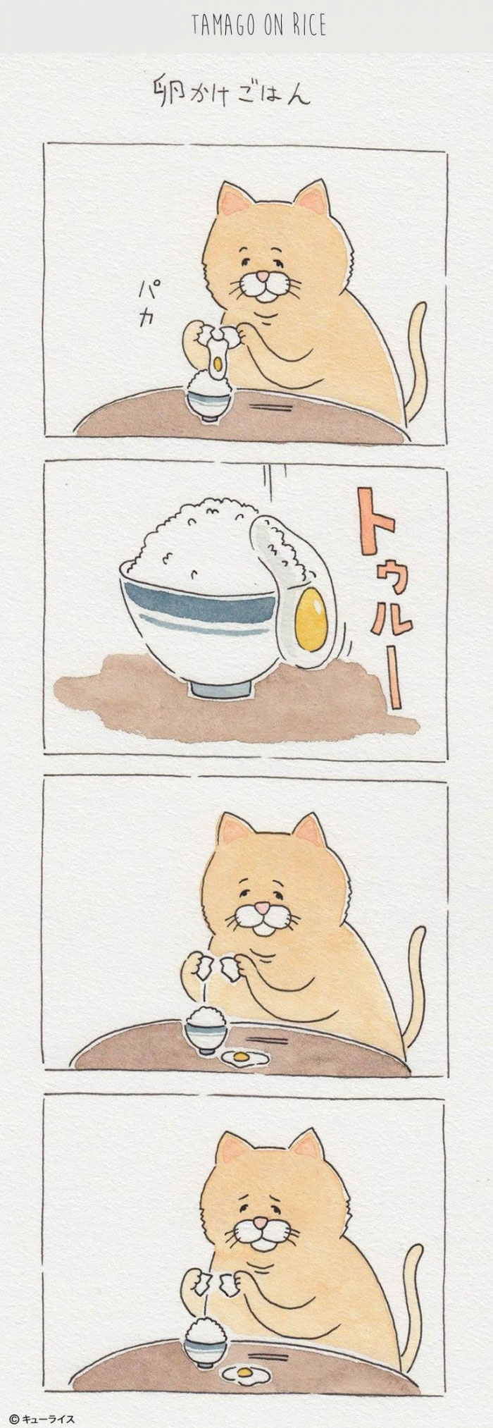 搞笑連環畫：胖貓吃飯記（組圖）