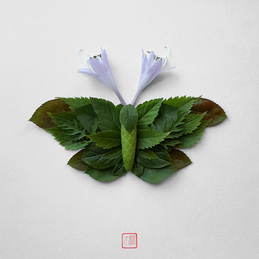 你怕蟲(chóng)子嗎？來(lái)看看這些用花瓣做成的蟲(chóng)子（組圖）