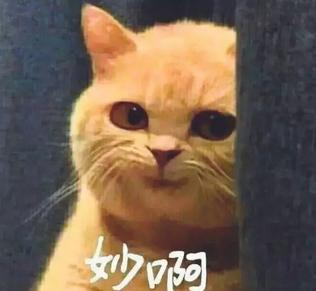 揭秘各國兵哥哥的野戰口糧！看到韓國的，忍不住笑出了聲…