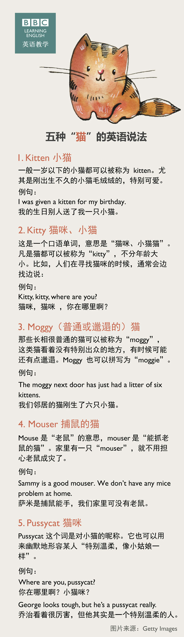 五種“貓”的英語(yǔ)說(shuō)法