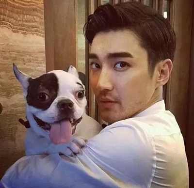 明星愛犬咬傷鄰居間接致其死亡，寵物不拴繩害人也害狗