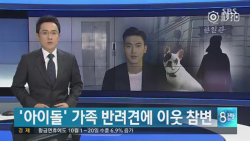 明星愛犬咬傷鄰居間接致其死亡，寵物不拴繩害人也害狗