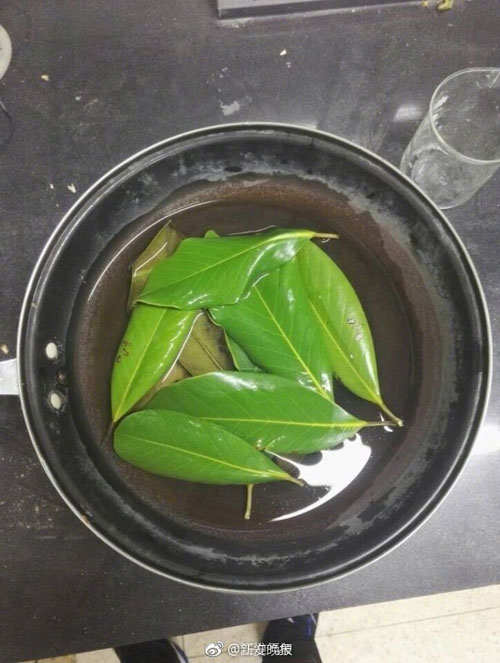 6000片樹葉做出美裙 原來他們是這么做到的！