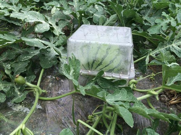2017年大受歡迎的8項創(chuàng)意發(fā)明