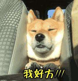 支付寶年度賬單挖了個(gè)大坑，你也不慎掉進(jìn)去了嗎？