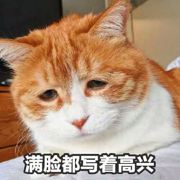 英語四六級寫作經(jīng)典句型歸納