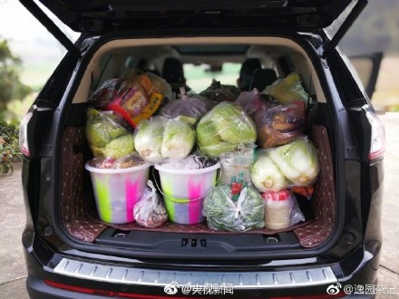“媽媽給裝的后備箱”成熱門(mén)話(huà)題