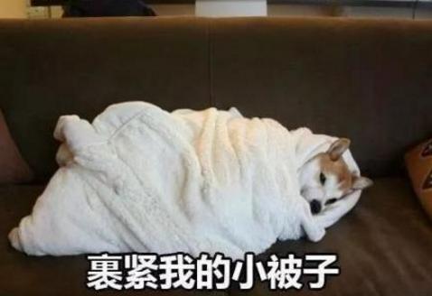 寒潮侵襲！英國人如臨大敵，卻遭北歐加拿大網友無情嘲笑