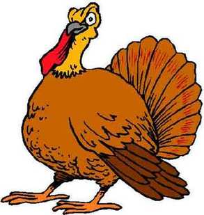 Turkey 感恩節(jié)為什么要吃火雞？