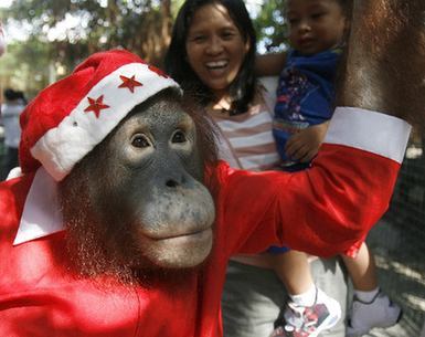 Christmas is on its way