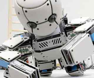 'Baby' robot developed <BR>嬰兒機器人可自學(xué)(圖)