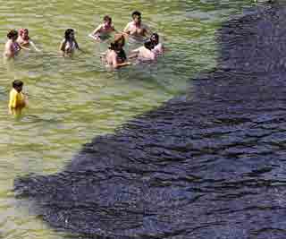 Swarms of fish form off coast <BR>墨西哥海灘現巨量魚群