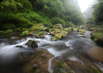 Three Gorges Tribe