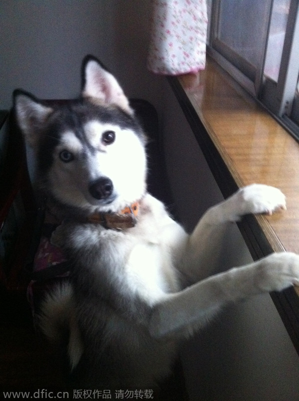 Trending: Poor celebrity waxworks confuse viewers