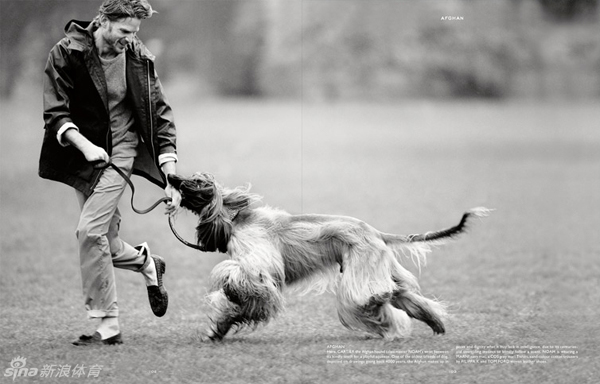 貝克漢姆文藝范兒寫真