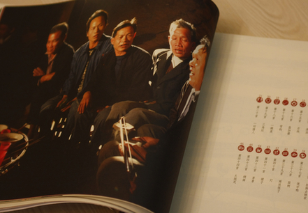 畫在土布上的壯族情歌《坡芽歌書》