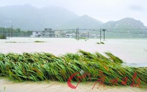 臺風巨爵造成廣東百萬人受災1人失蹤(組圖)
