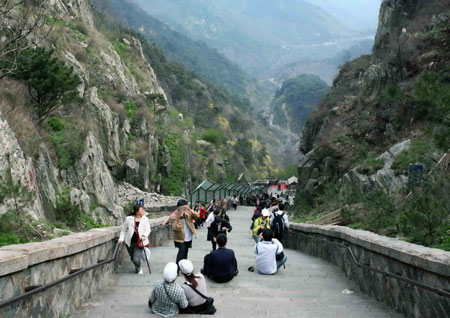 親近泰山